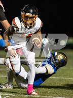 Photo from the gallery "Douglas @ Reed"