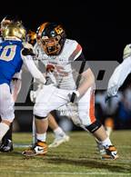 Photo from the gallery "Douglas @ Reed"