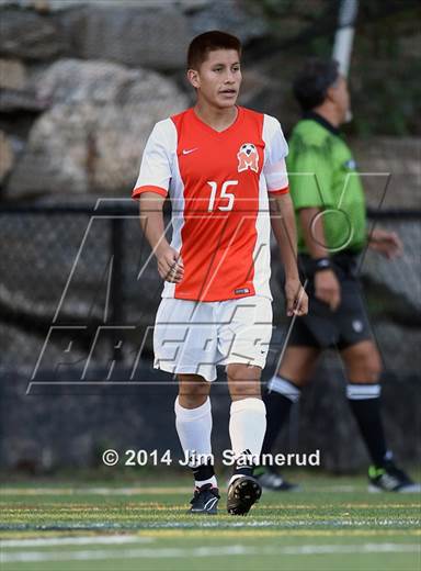 null - Photo 01