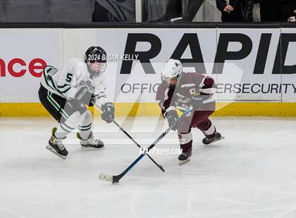 Thumbnail 2 in Duxbury vs Falmouth (MIAA Division 2 Final) photogallery.