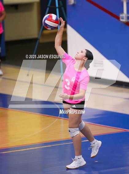 Thumbnail 1 in FR: Colony @ Los Altos photogallery.