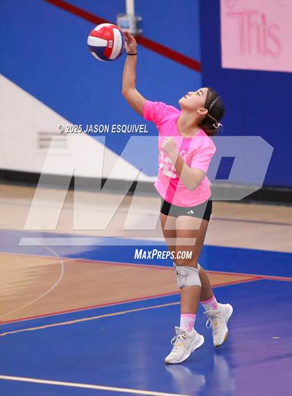 Thumbnail 1 in FR: Colony @ Los Altos photogallery.