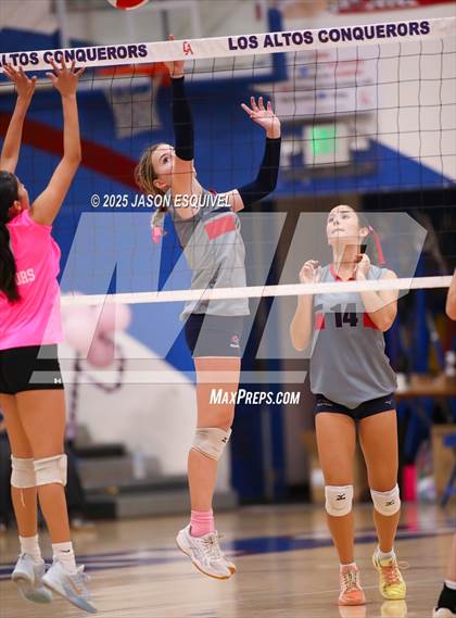 Thumbnail 1 in FR: Colony @ Los Altos photogallery.