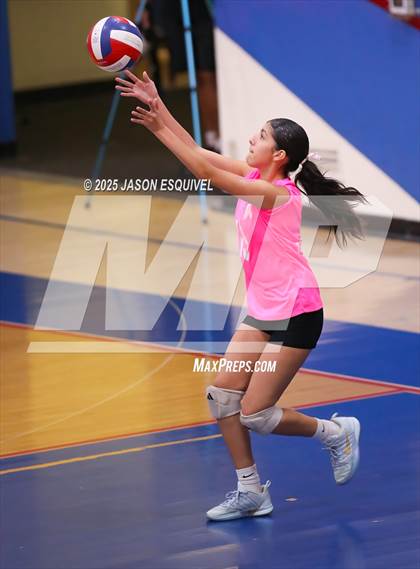 Thumbnail 3 in FR: Colony @ Los Altos photogallery.