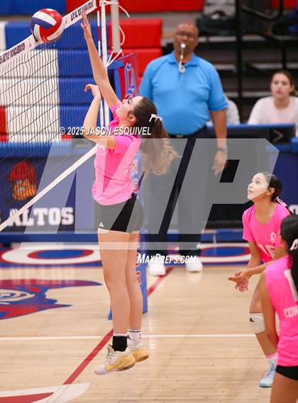 Thumbnail 3 in FR: Colony @ Los Altos photogallery.