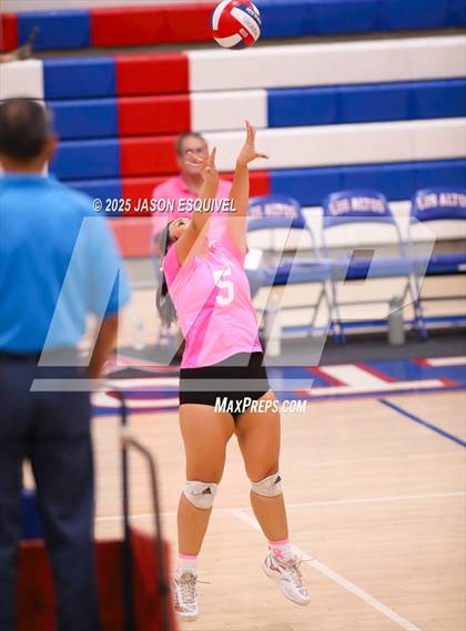 Thumbnail 2 in FR: Colony @ Los Altos photogallery.