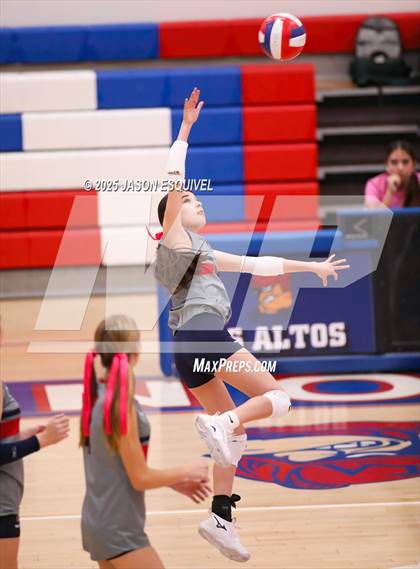 Thumbnail 2 in FR: Colony @ Los Altos photogallery.