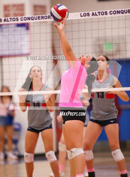 Thumbnail 1 in FR: Colony @ Los Altos photogallery.