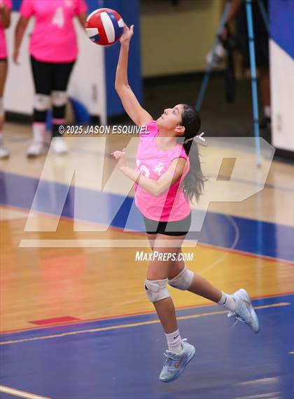 Thumbnail 2 in FR: Colony @ Los Altos photogallery.