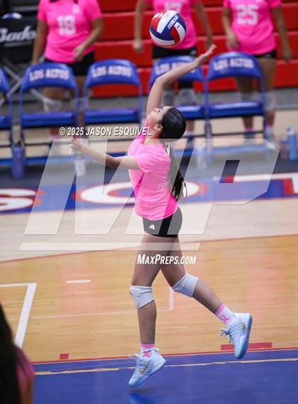 Thumbnail 3 in FR: Colony @ Los Altos photogallery.