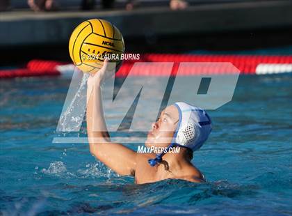 Thumbnail 3 in Leland @ Branham photogallery.
