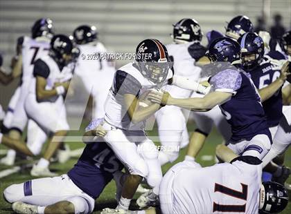 Thumbnail 2 in Churchill vs. Johnson photogallery.