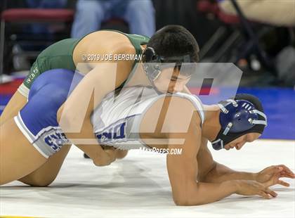 Thumbnail 2 in CIF State Boys Wrestling Championships (Championship Round 1) photogallery.
