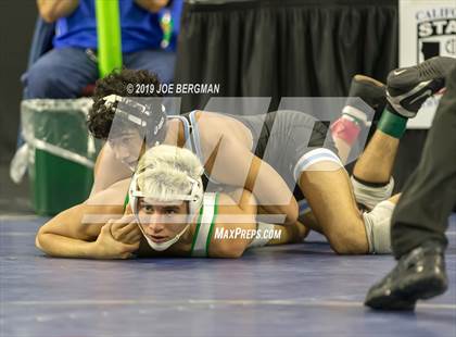Thumbnail 2 in CIF State Boys Wrestling Championships (Championship Round 1) photogallery.