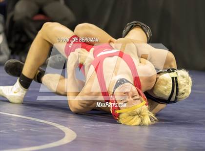 Thumbnail 3 in CIF State Boys Wrestling Championships (Championship Round 1) photogallery.