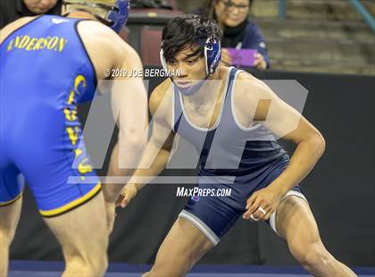 Thumbnail 3 in CIF State Boys Wrestling Championships (Championship Round 1) photogallery.