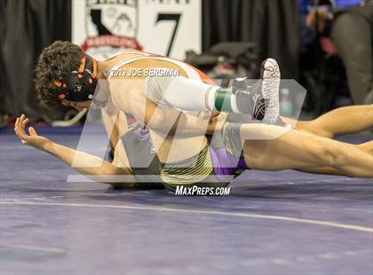 Thumbnail 2 in CIF State Boys Wrestling Championships (Championship Round 1) photogallery.