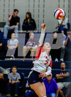 Photo from the gallery "Pine Creek @ Liberty"