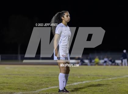 Thumbnail 3 in Manatee @ Braden River photogallery.