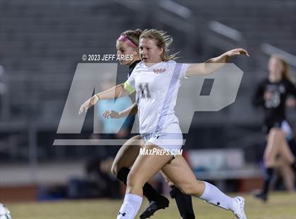 Thumbnail 1 in Manatee @ Braden River photogallery.