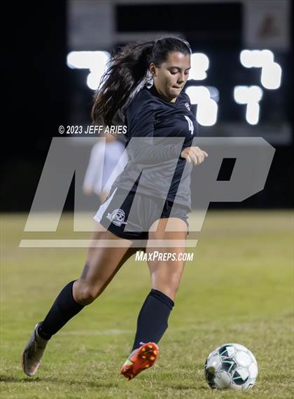 Thumbnail 1 in Manatee @ Braden River photogallery.