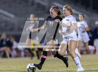 Thumbnail 1 in Manatee @ Braden River photogallery.