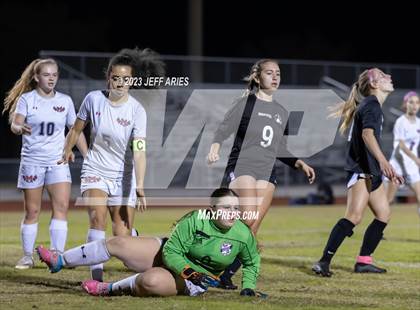 Thumbnail 1 in Manatee @ Braden River photogallery.