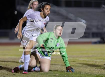 Thumbnail 3 in Manatee @ Braden River photogallery.