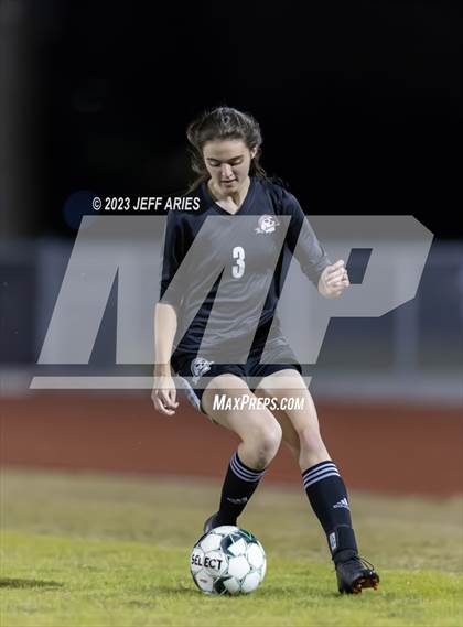 Thumbnail 3 in Manatee @ Braden River photogallery.