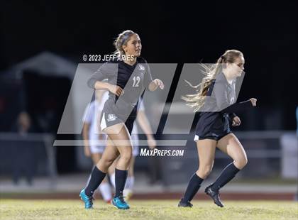 Thumbnail 1 in Manatee @ Braden River photogallery.