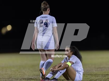 Thumbnail 2 in Manatee @ Braden River photogallery.
