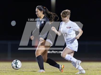 Thumbnail 2 in Manatee @ Braden River photogallery.