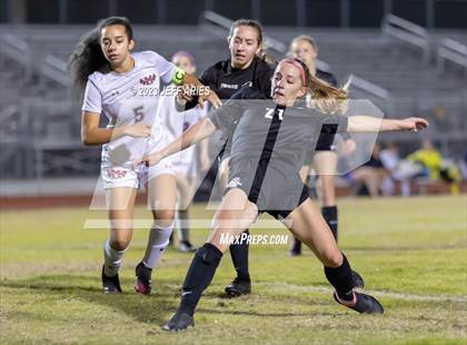 Thumbnail 2 in Manatee @ Braden River photogallery.