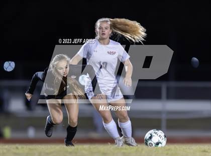 Thumbnail 1 in Manatee @ Braden River photogallery.