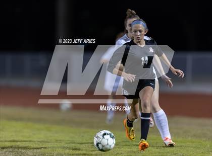Thumbnail 2 in Manatee @ Braden River photogallery.