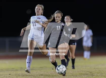 Thumbnail 3 in Manatee @ Braden River photogallery.
