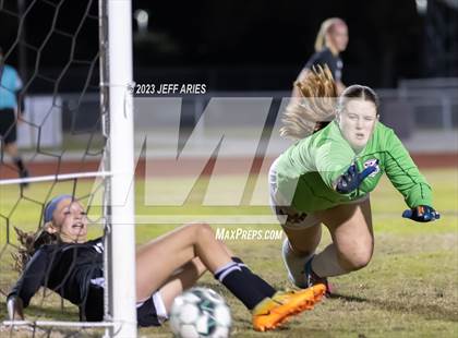 Thumbnail 3 in Manatee @ Braden River photogallery.