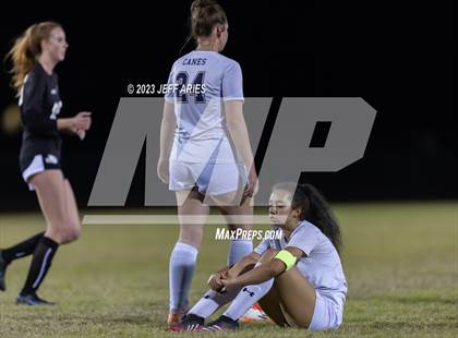Thumbnail 3 in Manatee @ Braden River photogallery.