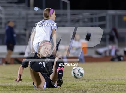 Thumbnail 3 in Manatee @ Braden River photogallery.