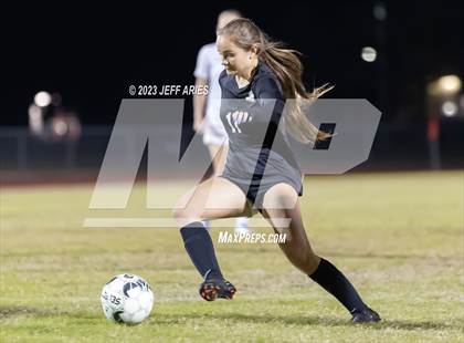Thumbnail 1 in Manatee @ Braden River photogallery.