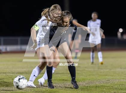 Thumbnail 2 in Manatee @ Braden River photogallery.