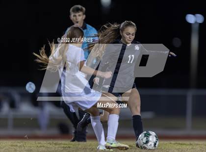 Thumbnail 2 in Manatee @ Braden River photogallery.