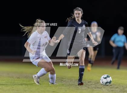 Thumbnail 3 in Manatee @ Braden River photogallery.
