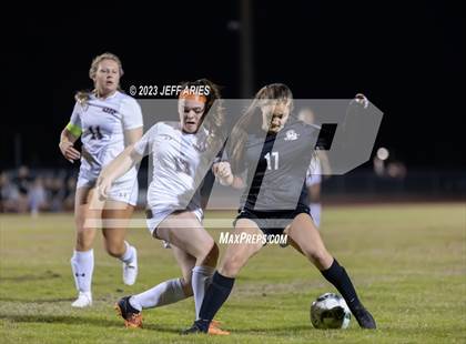 Thumbnail 3 in Manatee @ Braden River photogallery.