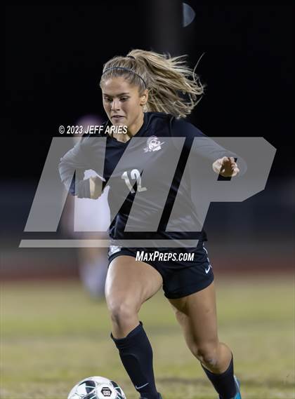 Thumbnail 2 in Manatee @ Braden River photogallery.
