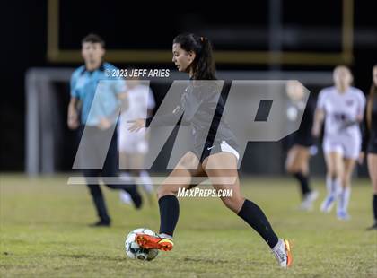 Thumbnail 3 in Manatee @ Braden River photogallery.