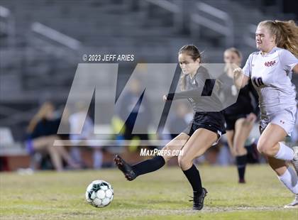 Thumbnail 2 in Manatee @ Braden River photogallery.