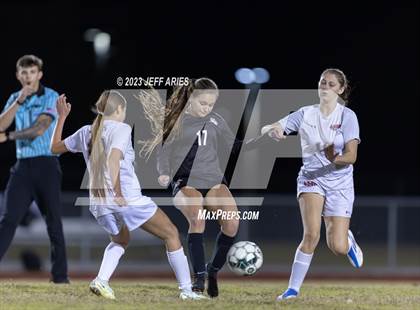 Thumbnail 3 in Manatee @ Braden River photogallery.