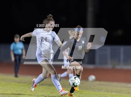 Thumbnail 1 in Manatee @ Braden River photogallery.
