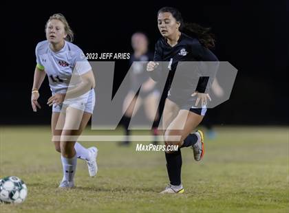 Thumbnail 1 in Manatee @ Braden River photogallery.